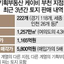 팝기획