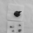 패밀리 동물병원 이미지