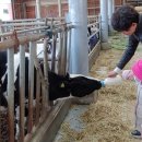 나드리목장 이미지