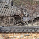 약초향기 민박 이미지