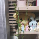 버스정류소_주공 3 4단지 이미지