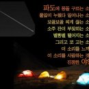 11/12~13(토.일) 여주 강천섬 캠핑&amp;비박 이미지