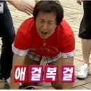 스파이스카레 이미지