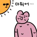 해초냉면