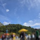 40 | 김천 김밥축제 후기🍙 | 40분 걸어서 도착한 이야기 | 소보로김밥 맛있당
