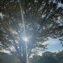 메리 셸리 <프랑켄슈타인> | 메리셸리_프랑켄슈타인