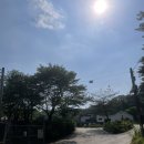 그라운독 | 남양주 그라운독 내돈내산 후기(애견수영장,애견카페,애견운동장)