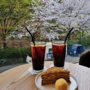 창원 의창구 쏠카페&amp;임진각식당(벚꽃 카페와 백년가게 맛집 탐방)