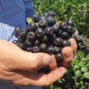 이천희농장 이미지