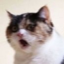 토요코인 부산중앙역 이미지