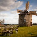 영미농장 이미지