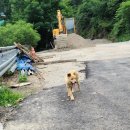 새생활슈퍼 이미지