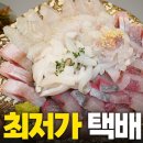 이 한 접시가 단돈 2만원?? 전국 최저가 횟집에서 택배주문해 보았습니다! 회사랑RawFishEater 구독자 25.6만명 이미지