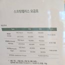 Spring Palace(스프링 팰리스) 네이버블로그