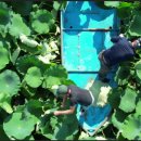 이천식당 이미지