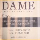 포크기타 (B) 이미지