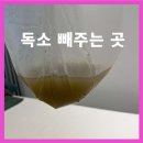 큐어 에스테틱