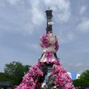 곡성 신기 | 장미 가득했던 5월의 로맨틱한 하루, 곡성세계장미축제 다녀온 후기 🌹