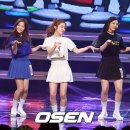 덤덤 이미지