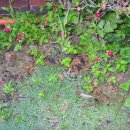 박곡농장 이미지