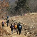 아리바우길(정선코스) 이미지