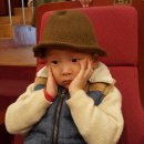 아기공룡 크로롱 Daum카페