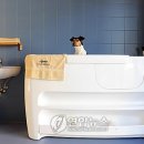 Luxury Dog 이미지