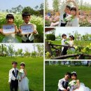 순천만 우리 이미지