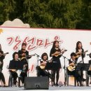 한국우쿨렐레지도사협회