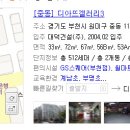 디아뜨1 B 이미지