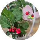 남양주월산초등학교(병설) 이미지