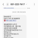 24시꿈동물병원 네이버블로그
