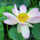 아름다운 행정사 사무소 이미지