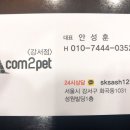 컴투펫주
