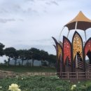(주)옐로우박스 네이버블로그