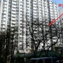 금곡온누리약국 이미지