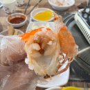 교동갯벌숯불구이왕새우 | 강화도 교동도 교동 맛집 왕새우가 맛있는 "교동갯벌숯불구이왕새우" (+교동도선착장 캠핑 스팟 정보)