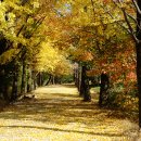 제28회 김경식의 ＜역사문학기행＞공지 - 경북 영주(풍기)