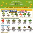 3월 봄나물 봄김치 이미지