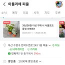 아틀리에피울