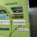압구정맘모스헤어라인의원 | [압구정 모우림의원] 헤어라인 모발이식 후기 (당일~3일차)