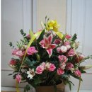 수색-017 이미지