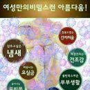 더블유클린