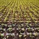 천마축산 이미지