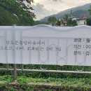 강원도협동조합감자여행 이미지