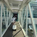 7월 여름 제주 여행 조아렌트카 내돈내산 후기 비교