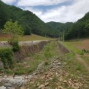 자연인펜션민박 이미지