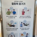[대천 해수욕장 짚라인] 가족 액티비티 최고! 대천 짚트랙 체험 후기