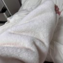 차이란 | 온트 홀리데이 퍼자켓 후기 (+탕차이?)