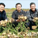 대정농업협동조합 농산물산지유통센터 이미지